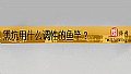《黑坑用什么调性的鱼竿?》封面图