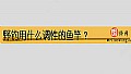 《野钓用什么调性的鱼竿?》封面图