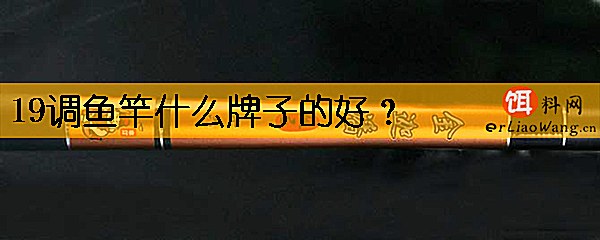 19调鱼竿什么牌子的好