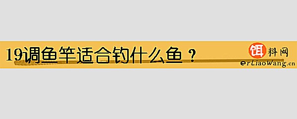 19调鱼竿适合钓什么鱼