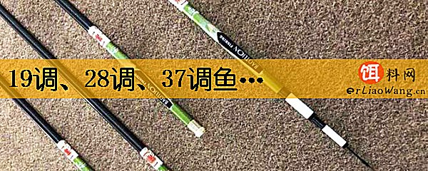 19调、28调、37调鱼竿哪种好