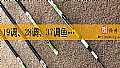 《19调、28调、37调鱼竿哪种好?》封面图