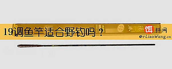 19调鱼竿适合野钓吗