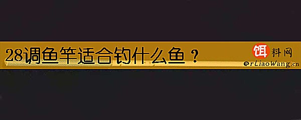 28调鱼竿适合钓什么鱼