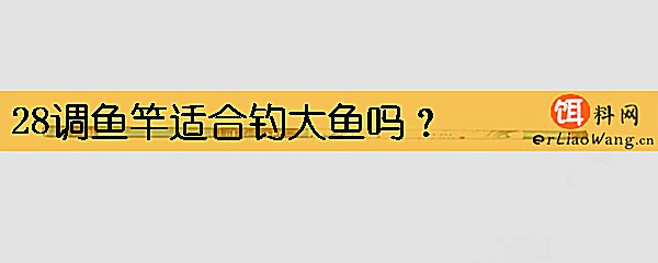 28调鱼竿适合钓大鱼吗