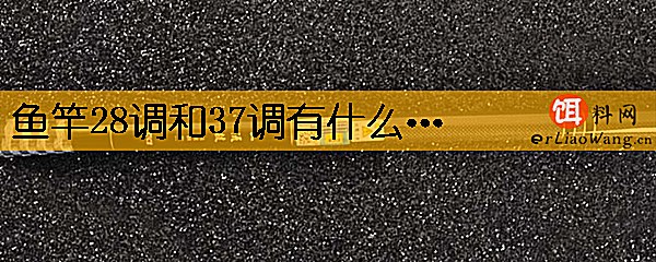 鱼竿28调和37调有什么区别