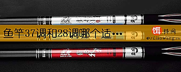 鱼竿37调和28调哪个适合新手