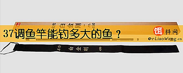 37调鱼竿能钓多大的鱼