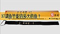 《37调鱼竿能钓多大的鱼？》封面图
