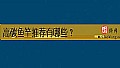 《高碳鱼竿推荐有哪些?》封面图