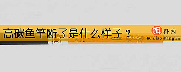 高碳鱼竿断了是什么样子