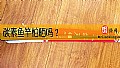 《碳素鱼竿怕晒吗?》封面图