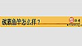 《碳素鱼竿怎么样?》封面图