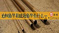 《沧州鱼竿和威海鱼竿有什么区别？》封面图