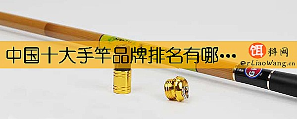 中国十大手竿品牌排名有哪些