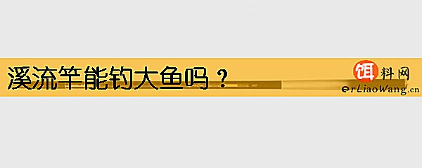 溪流竿能钓大鱼吗
