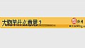 《大物竿什么意思?》封面图
