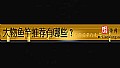 《大物鱼竿推荐有哪些?》封面图