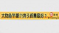 《大物鱼竿哪个牌子质量最好?》封面图