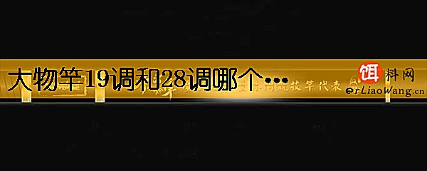 大物竿19调和28调哪个好