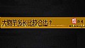 《大物竿多长比较合适？》封面图
