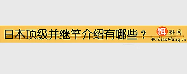 日本顶级并继竿介绍有哪些