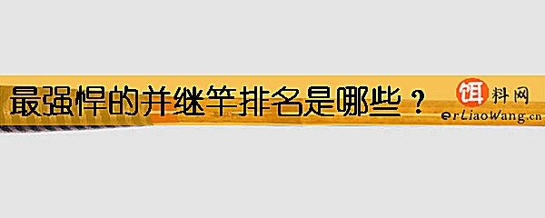 最强悍的并继竿排名是哪些