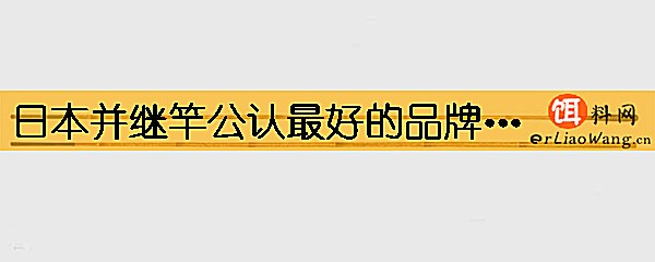 日本并继竿公认最好的品牌是哪些