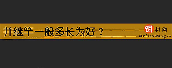 并继竿一般多长为好