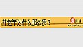 《并继竿为什么那么贵？》封面图