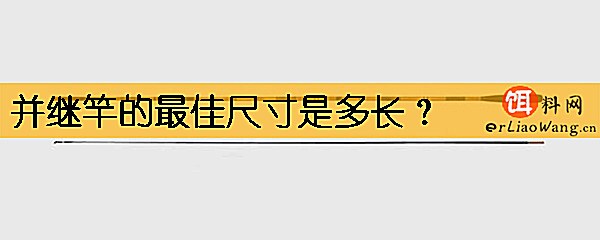 并继竿的最佳尺寸是多长