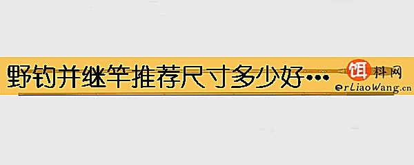 野钓并继竿推荐尺寸多少好用