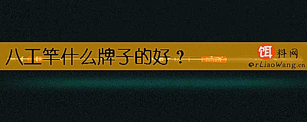 八工竿什么牌子的好
