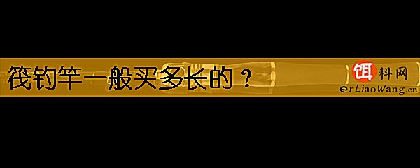 筏钓竿一般买多长的