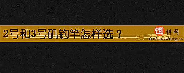 2号和3号矶钓竿怎样选