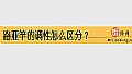 《路亚竿的调性怎么区分？》封面图