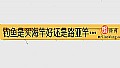 钓鱼是买海竿好还是路亚竿好？