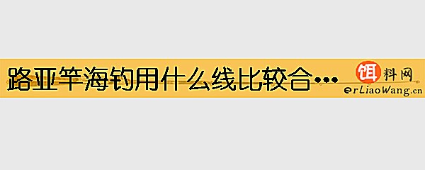 路亚竿海钓用什么线比较合适