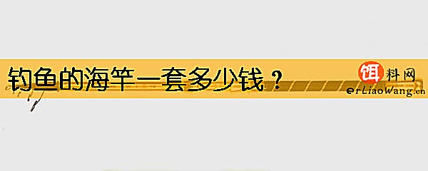 钓鱼的海竿一套多少钱