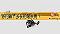 《野钓海竿多长的最实用?》封面图