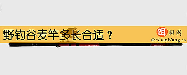 野钓谷麦竿多长合适