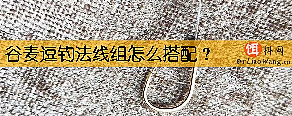 谷麦逗钓法线组怎么搭配