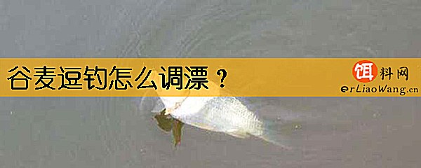 谷麦逗钓怎么调漂