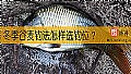 冬季谷麦钓法怎样选钓位？
