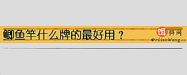 鲫鱼竿什么牌的最好用