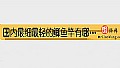 《国内最细最轻的鲫鱼竿有哪些?》封面图