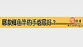 《哪款鲫鱼竿的手感最好?》封面图