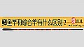 鲫鱼竿和综合竿有什么区别？
