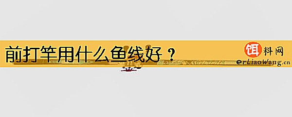 前打竿用什么鱼线好