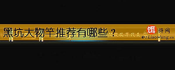 黑坑大物竿推荐有哪些